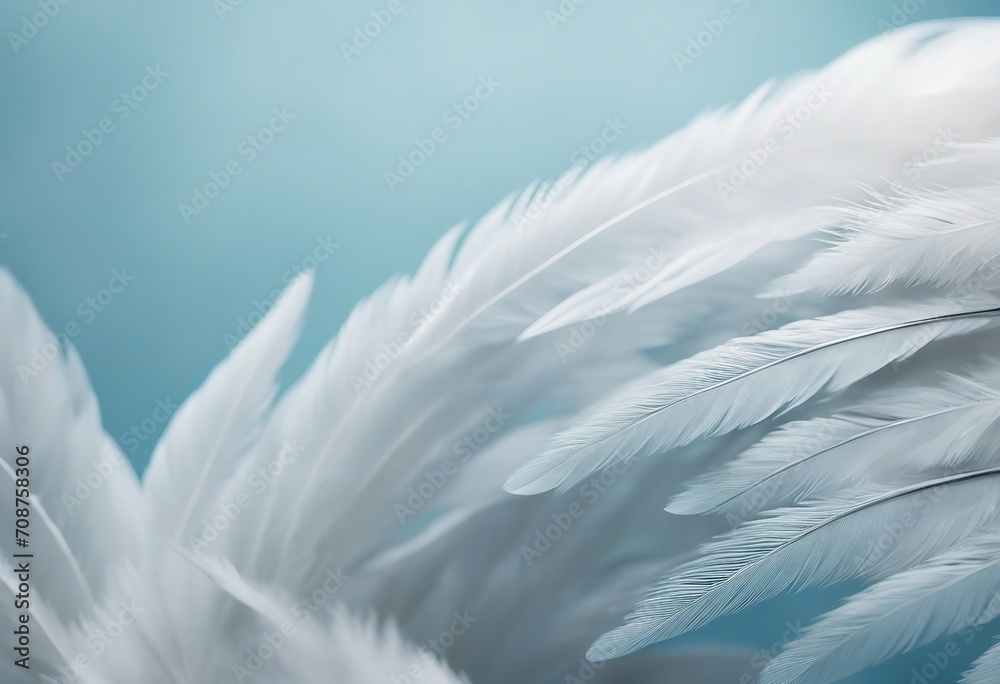 Airy soft fluffy wing bird with white feathers close-up of macro pastel blue shades on white backgro Airy soft fluffy wing bird with white feathers close-up of macro pastel blue shades on white backgro
