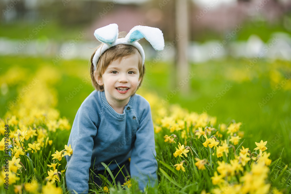 Cute toddler boy wearing bunny ears having fun between rows of yellow daffodils blossoming on spring day. Celebrating Easter outdoors. Egg hunt. Cute toddler boy wearing bunny ears having fun between rows of yellow daffodils blossoming on spring day. Celebrating Easter outdoors. Egg hunt.