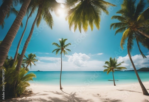 Beautiful beach with white sand turquoise ocean green palm trees and blue sky with clouds on Sunny d © ArtisticLens