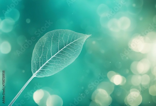White transparent skeleton leaf with beautiful texture on a turquoise abstract background on glass w