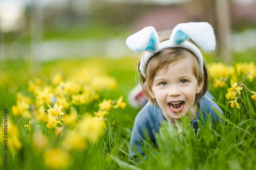 Cute toddler boy wearing bunny ears having fun between rows of yellow daffodils blossoming on spring day. Celebrating Easter outdoors. Egg hunt. Cute toddler boy wearing bunny ears having fun between rows of yellow daffodils blossoming on spring day. Celebrating Easter outdoors. Egg hunt.