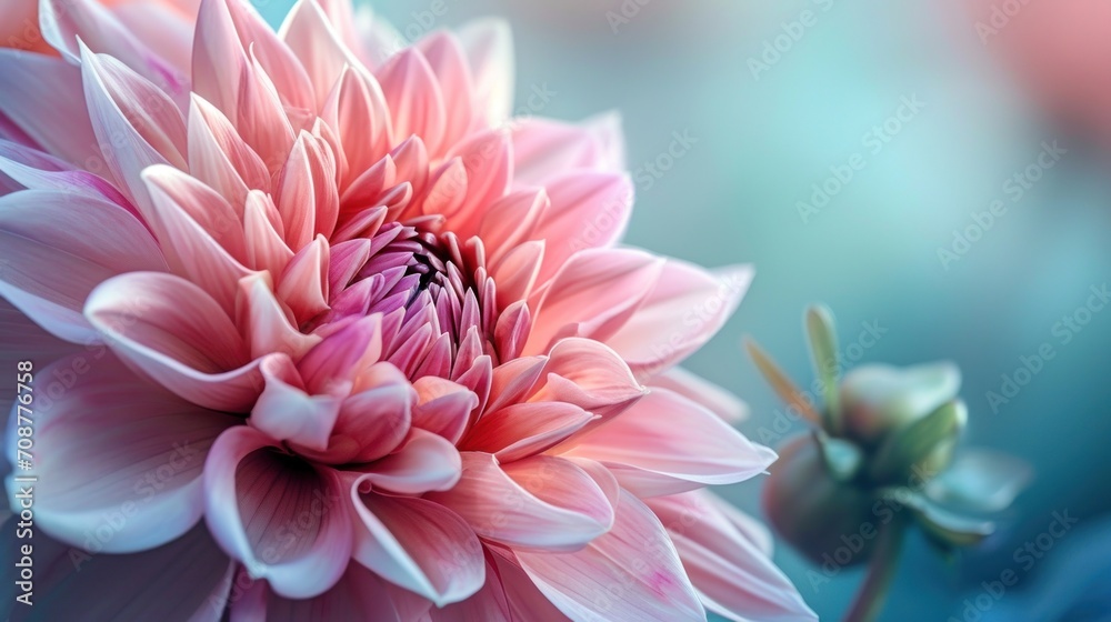 Fototapeta premium a close up of a pink flower with a blurry background of blue and pink flowers are in the foreground, and a pink flower is in the foreground.