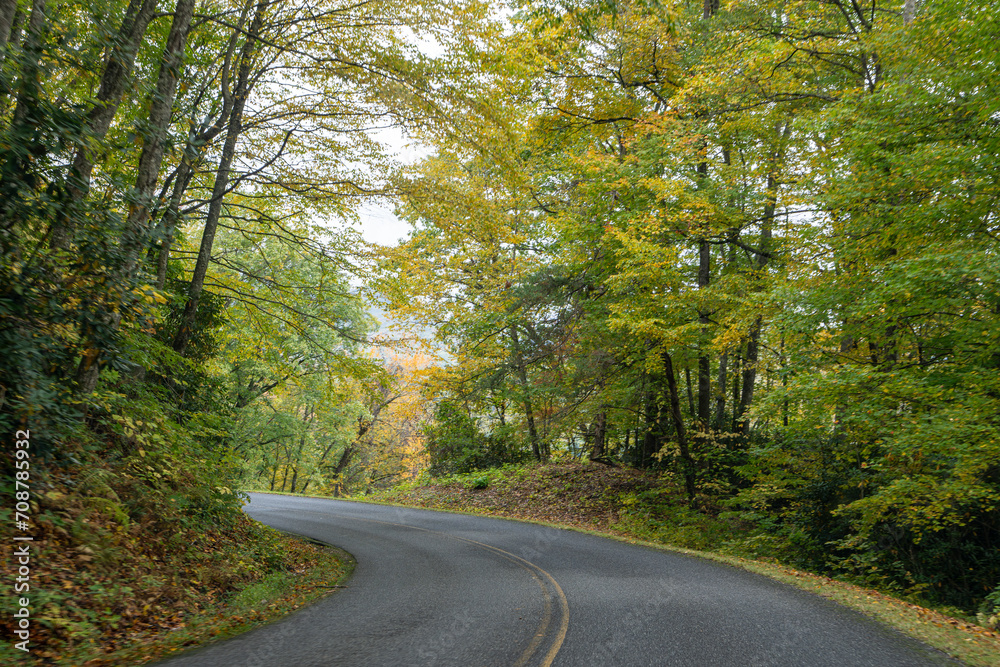 Obraz premium A Stunning view to the road of autumn