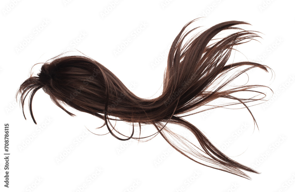 Wind blow Long straight Wig hair style fly fall. Brown woman wig hair float in mid air. Straight brown black wig hair wind blow cloud throw. White background isolated detail motion