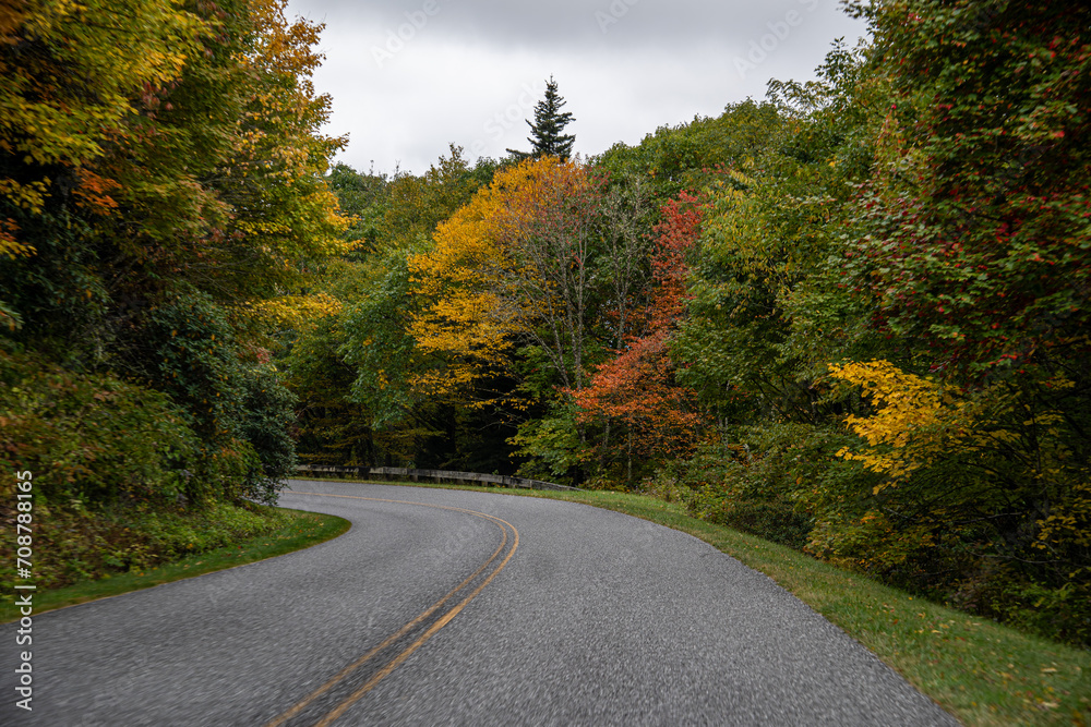 Fototapeta premium A Stunning view to the road of autumn