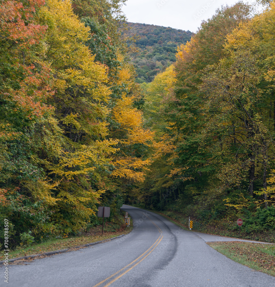 A Stunning view to the road of autumn A Stunning view to the road of autumn