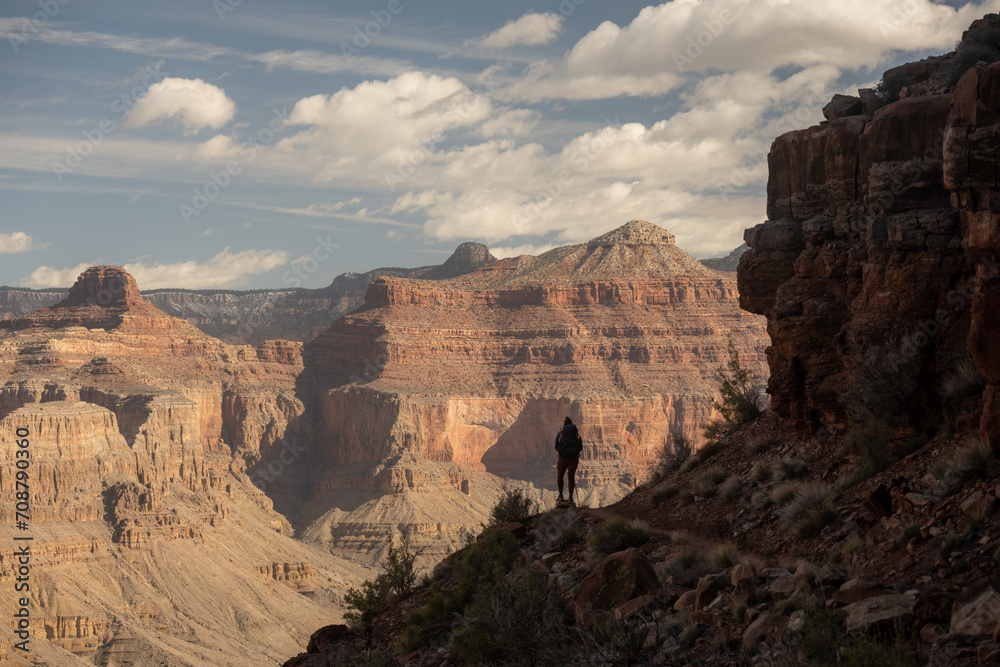 Hiker in Silhouette Looks Out Over The Canyon From The Hermit Trail