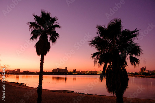 夜明け前の海岸。あたりはオレンジ色に染まり椰子の木がシルエットで浮かぶ。