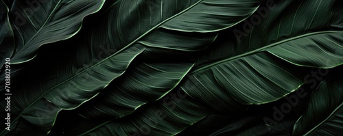 Print op canvas Closeup tropical forest plant