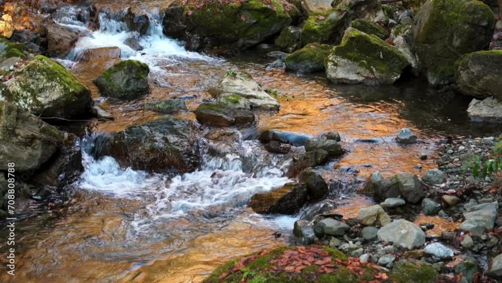 Small waterfall river in a rainforest Small waterfall river in a rainforest