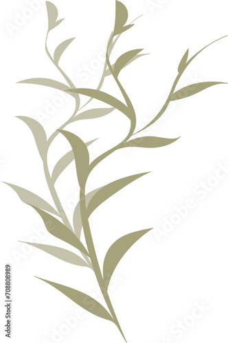 Leaves illustration on transparent background. 