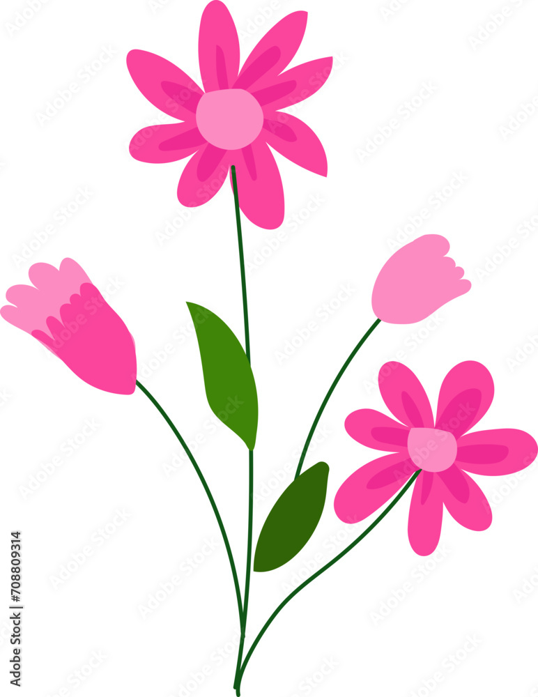 Hand drawn flora illustration on transparent background. Hand drawn flora illustration on transparent background.