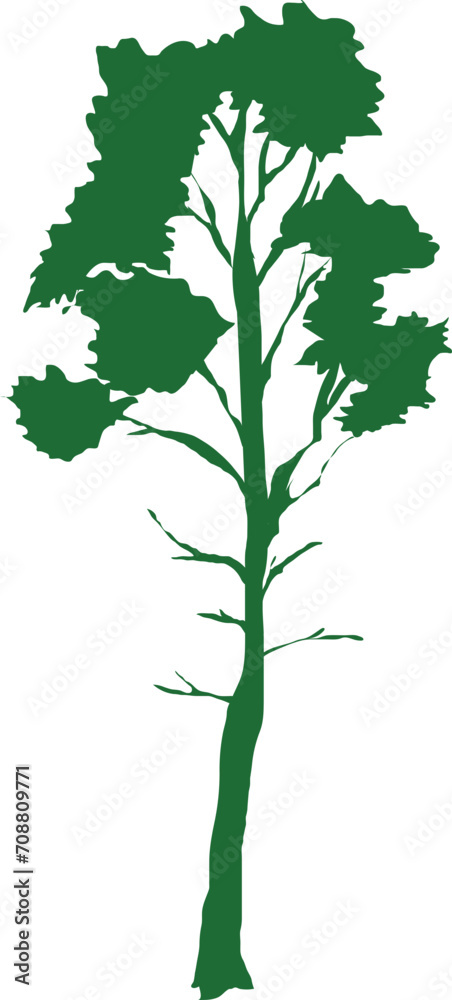 Obraz premium Trees silhouette green illustration on transparent background.