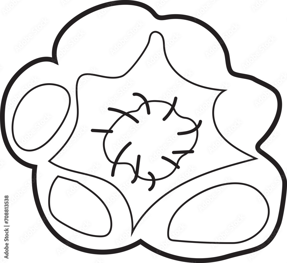 Vegetable illustration on transparent background.
Vegetable illustration on transparent background.
