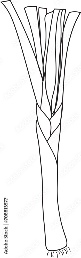 Vegetable illustration on transparent background.
Vegetable illustration on transparent background.