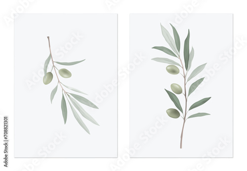 Foliage poster template design, olive branch on grey