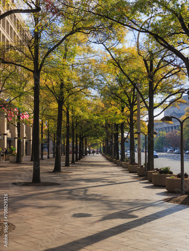 autumn in the park