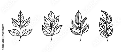 Hand drawn vector design floral elements