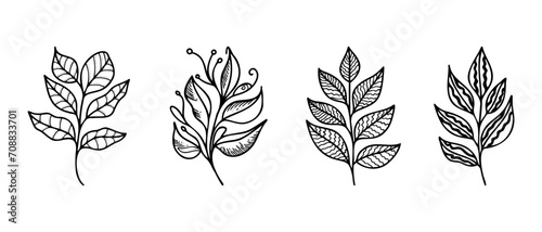 Hand drawn vector design floral elements