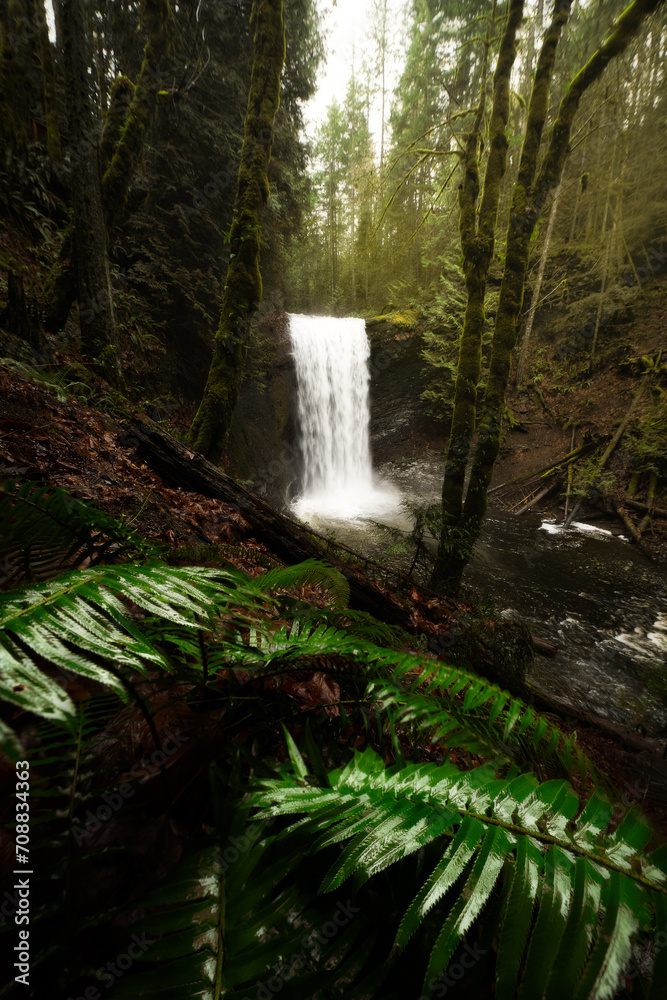 Ammonite Falls on Vancouver Island Canada Ammonite Falls on Vancouver Island Canada