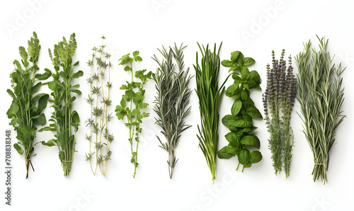 Essentials herbs photography high detail isolated white by background AI Image generative