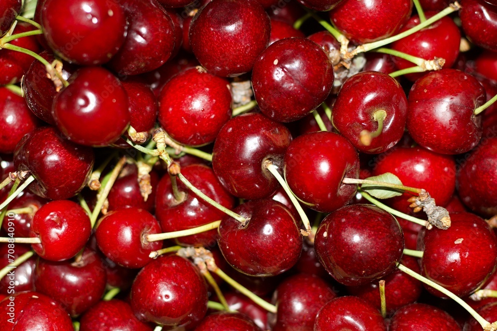 ripe cherries inside a cardboard box, seasonal fruits ripe cherries inside a cardboard box, seasonal fruits