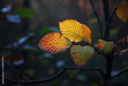 Freshness of autumn leaf growth in uncultivated forest. Ai generative
