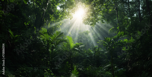 sun rays through the forest, lunapark motion collective south america jungle with overcast © Yasir
