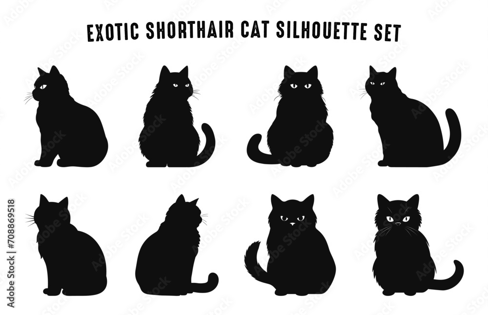 Exotic Shorthair Cat Breed Silhouettes Vector Set, Black Cats Silhouette collection