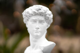 Gypsum statue of David's head in nature with bokeh background. Michelangelo's David statue plaster copy isolated on white background. Ancient greek sculpture, statue of hero
