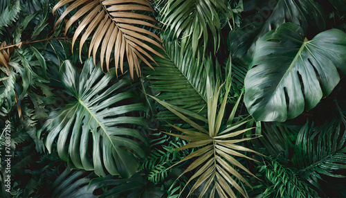 closeup nature view of palms and monstera and fern leaf background. Flat lay  dark nature concept  tropical leaf.
