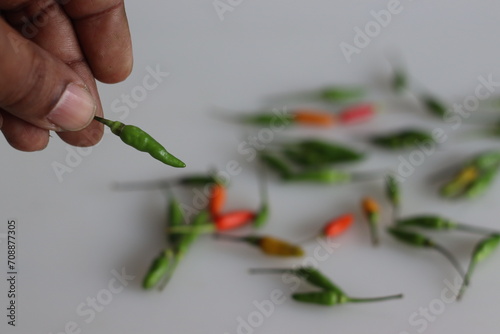 Holding a fresh kanthari pepper or Birds eye chilli in hand photo