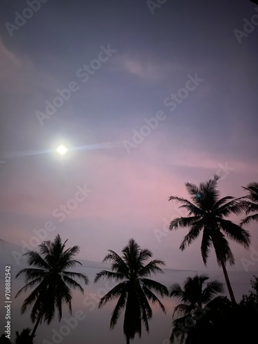 Night sky against with coconut trees, romantic moments 