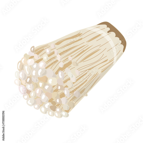 えのき　エノキダケのイラスト素材