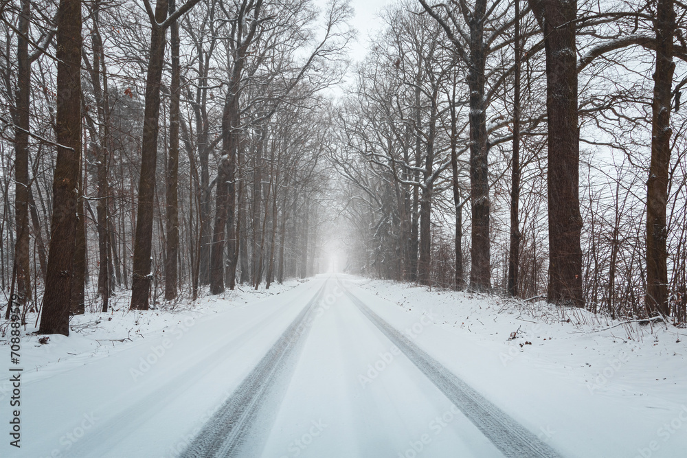 Road in forest under fresh snow in winter storm. Czech landscape, transportation background