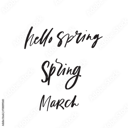 Lettering handwriting brush pen phrases of spring. Vector scripts