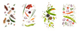 Collage of fresh green vegetables with herbs and spices on white background, top view