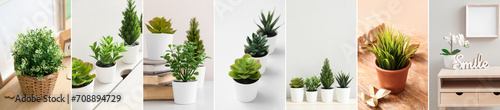 Collage of green artificial plants