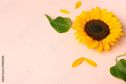 Beautiful sunflower with le...