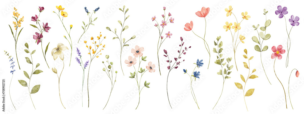 Flowers and leaves set, floral watercolor illustration for greeting card, invitation and other printing design. Isolated on white. Wild flowers hand drawing. - obrazy, fototapety, plakaty 
