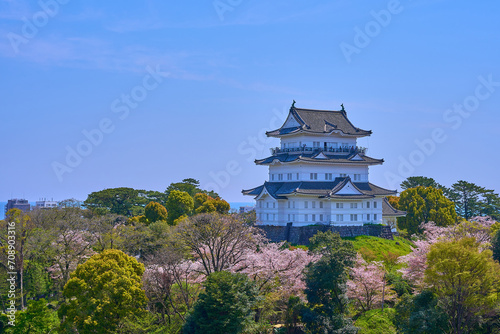 Photos 神奈川県小田原市の小田原城を八幡山古郭東曲輪跡から見る