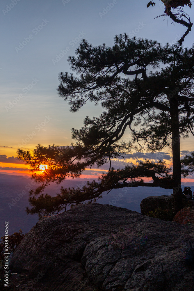 Silhouette of a pine tree on the top of a mountain during sunset