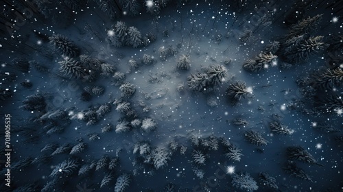 Title Snowy Elegance Under the Starry Sky Camera Equipment