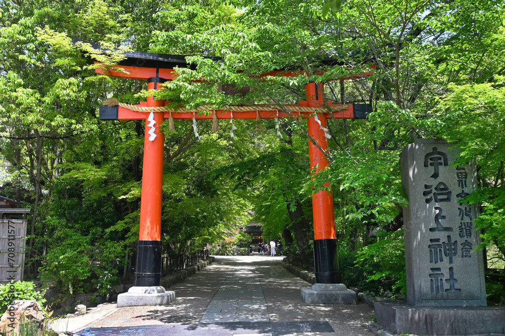 宇治市の世界遺産宇治上神社 鳥居と参道