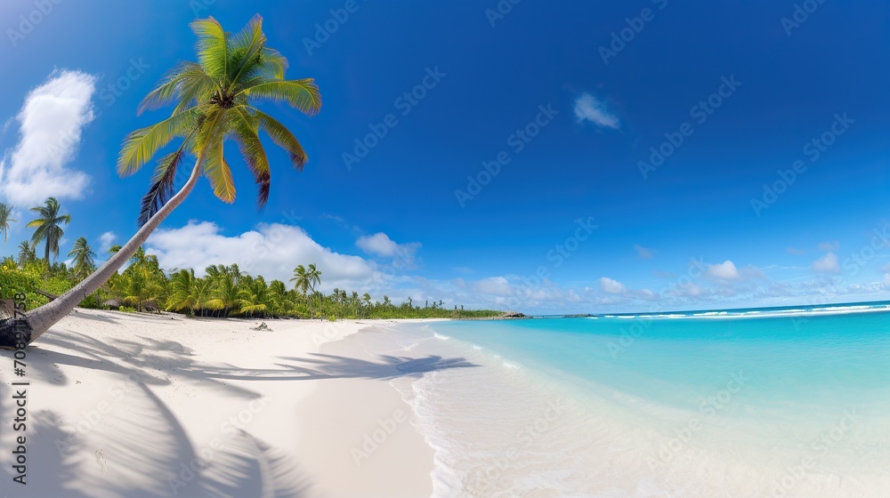 Obraz premium beach views with coconut trees, bright blue skies, stunning tropical beach views. Clear white sand beach on a summer day.