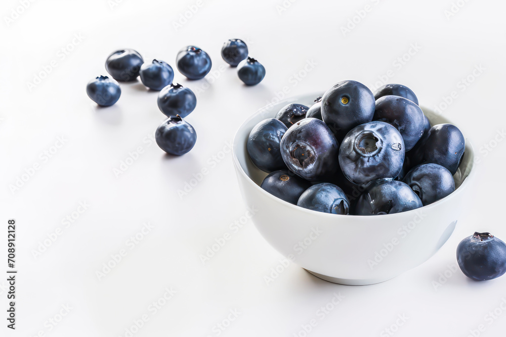 professional blueberry photo white background
professional blueberry photo white background