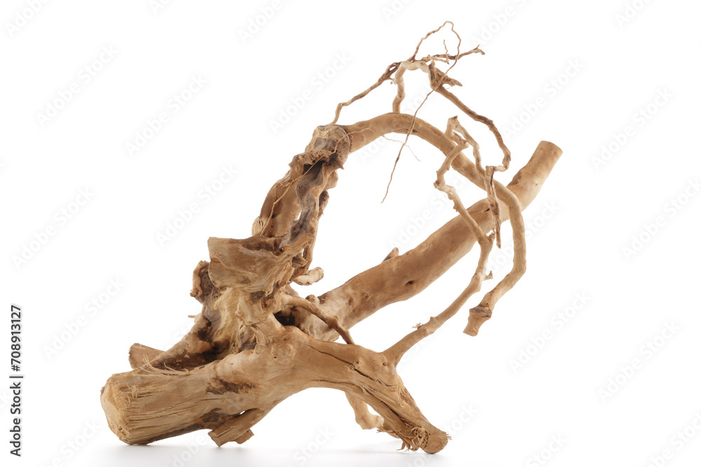 Close up of textured driftwood on isolated white background Close up of textured driftwood on isolated white background