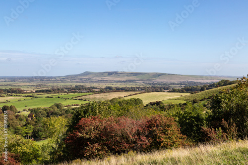 Wallpaper Mural Looking out over the South Downs towards Firle Beacon from Kingston Ridge, with a blue sky overhead Torontodigital.ca