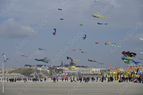 Le Festival des Cerfs-Volants à Berck-sur-mer