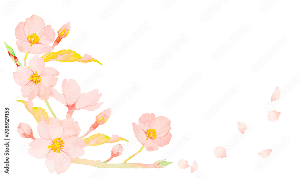 水彩で描いたかわいい桜の花のイラスト